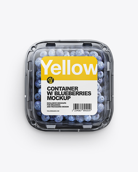 Container w/ Blueberry Mockup