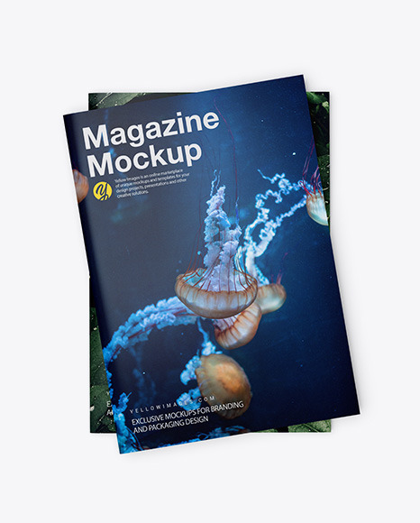 Two Glossy A4 Magazines Mockup