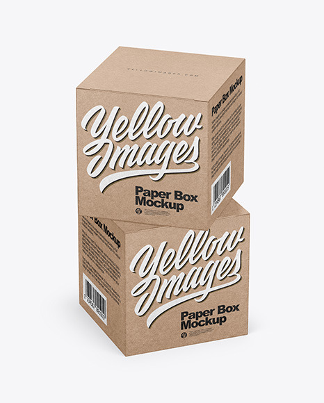 Two Kraft Boxes Mockup