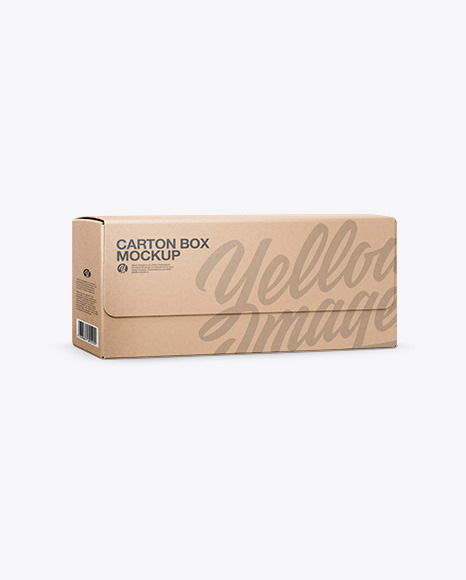 Carton Kraft Box Mockup