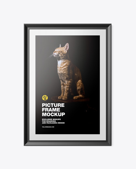 Glossy Picture Frame Mockup