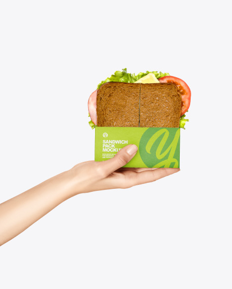 Sandwich Pack in a Hand Mockup