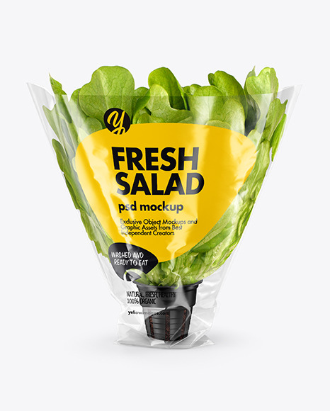 Plastic Bag With Salad Mockup