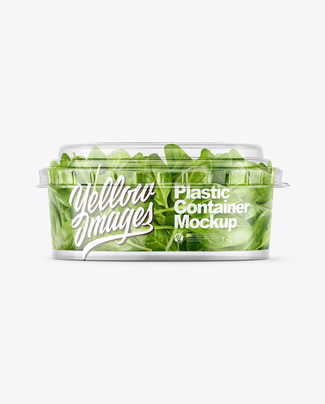 Clear Plastic Container with Salad Mockup