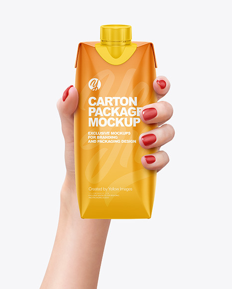 500ml Matte Carton Pack in a hand Mockup