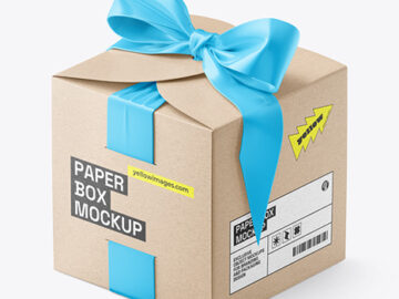 Kraft Paper Gift Box w/ Bow Mockup