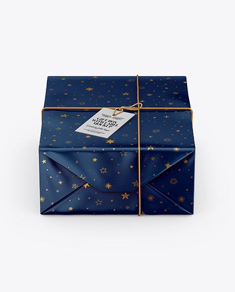 Paper Gift Packaging Mockup - Front View (High Angle Shot)