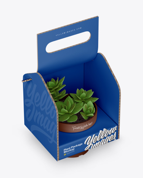 Box with Plant Mockup - Half Side View