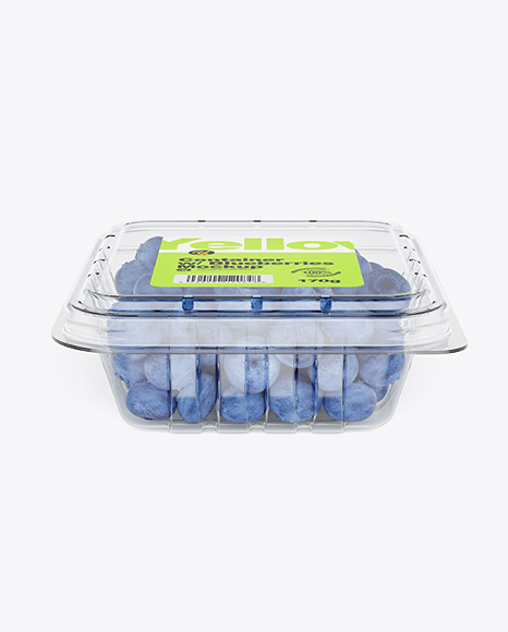 Container w/ Blueberries Mockup